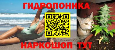 прущие крисы Краснознаменск