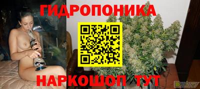 прущие крисы Краснознаменск
